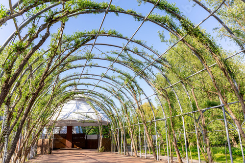 Fotografi Willow cathedral or willow dome in IGA park in Rostock, Germany