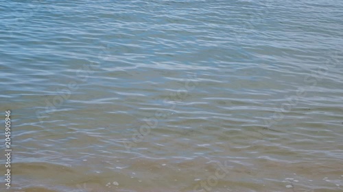 Transparent texture of the sea water surface, waves, ripples, seaweed and water movement. Concept of tranquility and recharge