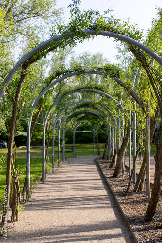 Foto Willow cathedral or willow dome in IGA park in Rostock, Germany