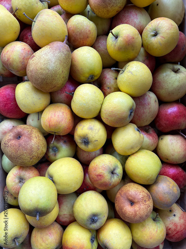 Freshly harvested apples and pears in a wooden crate