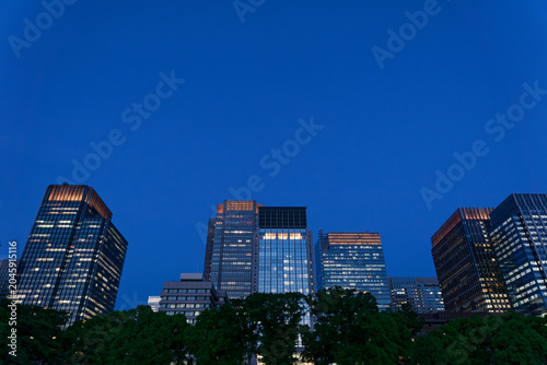 Tokyo night view , Illuminated modern skyline at night with high rise office buildings and urban business atmosphere