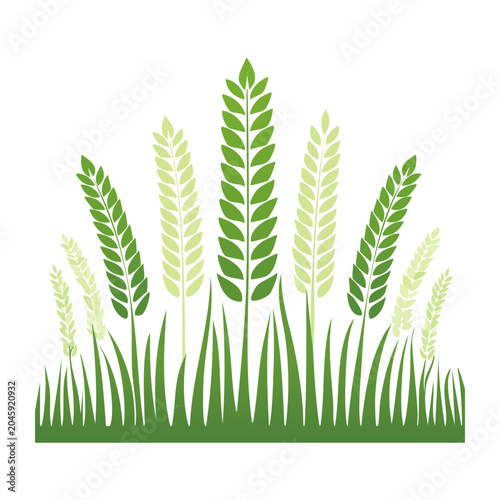 Green wheat field illustration with flat design