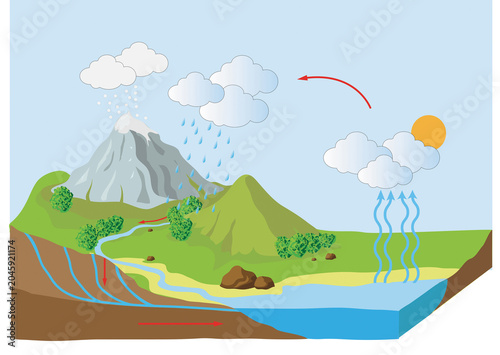 Complete diagram of the water cycle in nature.