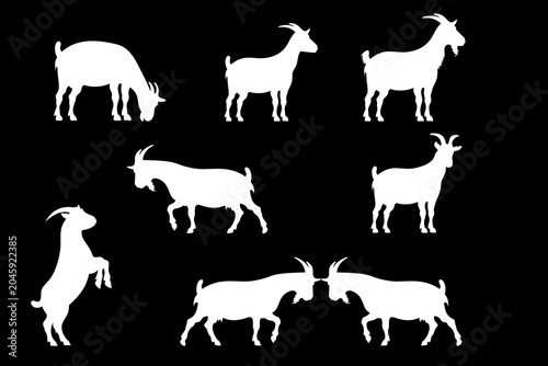 Fotografija Goat Silhouette Collection Set in Various Poses Vector Illustration