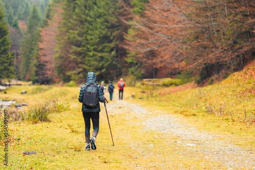A group of friends enjoys a leisurely hike along a winding path surrounded by vibrant autumn trees. The atmosphere is peaceful, perfect for outdoor adventure