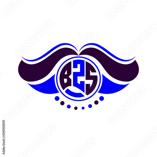 BZS letter logo creative design. BZS unique design