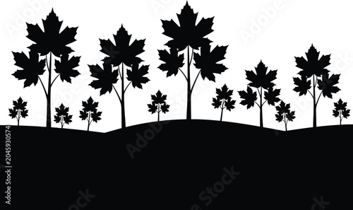 Fotografia Silhouette maple trees on a hillside landscape isolated on transparent backgroun