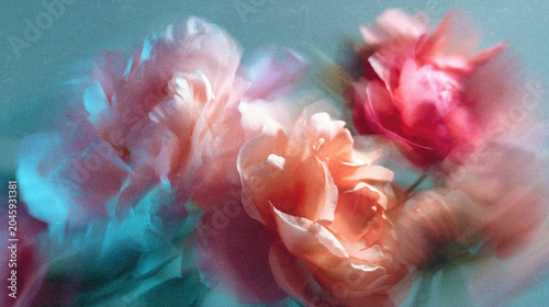 Cuadro en lienzo Dreamy Pastel Peonies and Roses in Soft Focus with Ethereal Light and Painterly Texture