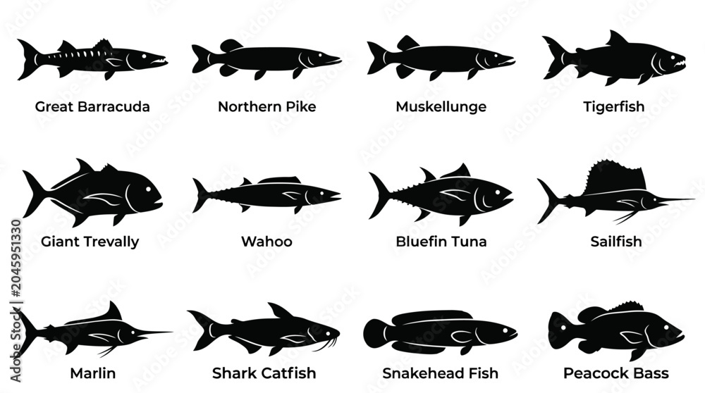 Fototapeta premium “A modern vector silhouette set of 12 predatory fish including great barracuda, northern pike, muskellunge, tigerfish, giant trevally, wahoo, bluefin tuna, sailfish, marlin, shark catfish, snakehead 