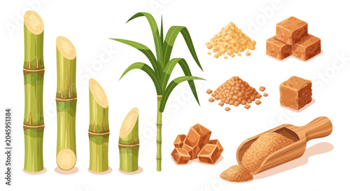 sugar cane and sugar products illustration