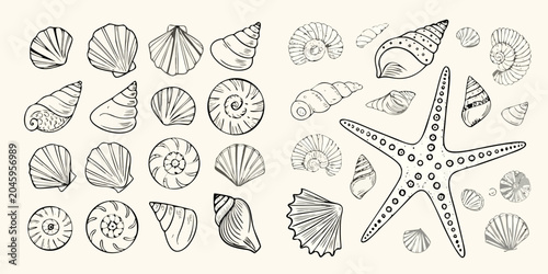 Принти на полотні Seashells And Starfish Collection Detailed Sketch Style Illustration