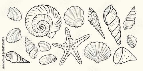 фотографія Seashells And Starfish Collection Hand drawn Sketch Style Illustration
