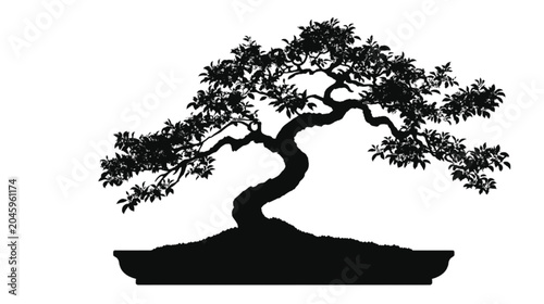 Bonsai tree silhouette displays intricate branch textures and dark organic shapes against a crisp white background to offer a serene aesthetic for modern minimalist design projects and artistic.