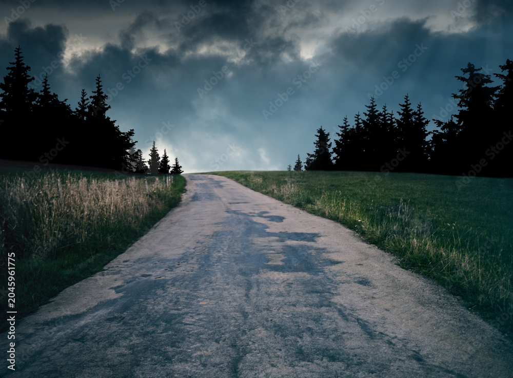 Fototapeta premium scary night landscape with starry sky