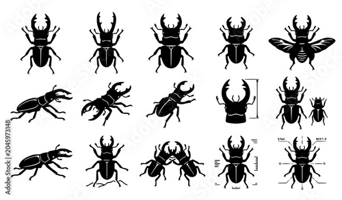 Bild auf Leinwand Stag beetle insect silhouette vector wildlife collection