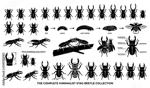 Foto Minimal stag beetle silhouette vector insect illustration set
