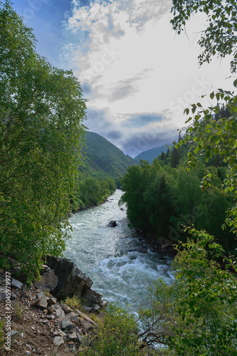 Wild river with white rapids flowing past rocky banks and a dense forest in a highland gorge.