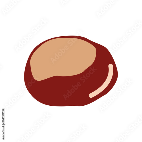 Foto Brown horse chestnut nut isolated on white background