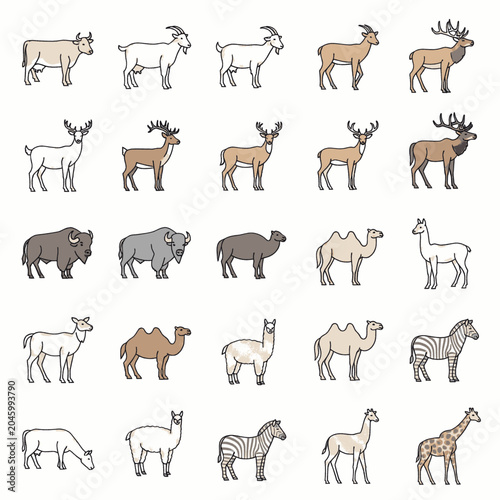 Canvas Print A collection of various farm animals and wild animals depicted in a simple, clean line art style