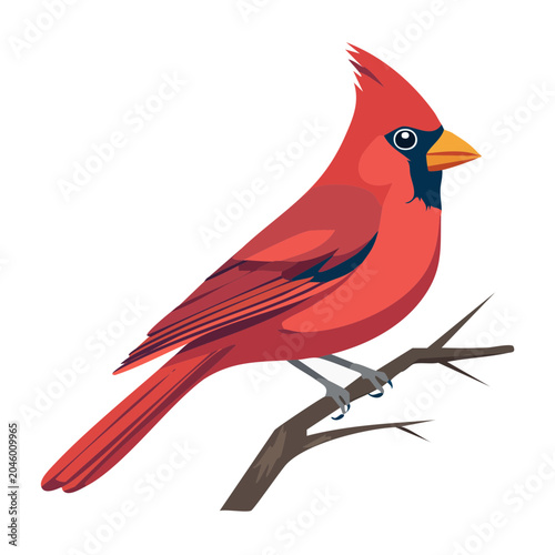 Red cardinal bird perched on a branch, flat design illustration