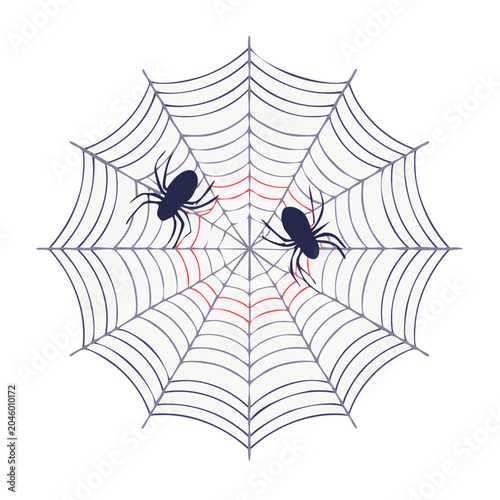 Spider web with two spiders on white background