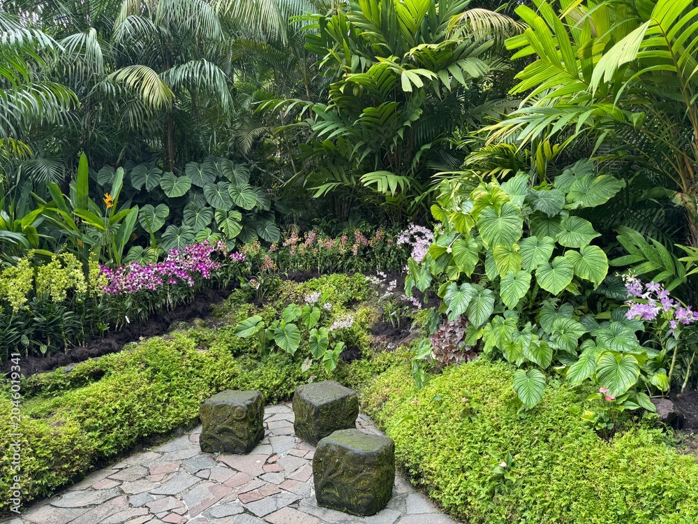 Obraz premium Scenic view of the lush tropical landscape inside the famous Singapore Botanic Gardens, famous green public park