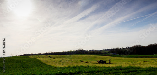Amish Horse Driven Plow, Tilling a Field in Spring, Holmes County, Ohio