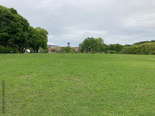 rural landscape with green grass and blue sky