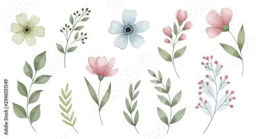Εκτύπωση καμβά Watercolor Floral Elements: Flowers and Leaves Isolated on White