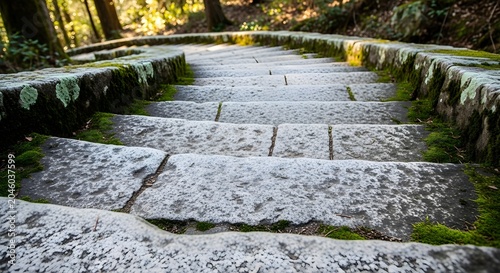 Ancient Mossy Stone Steps Descending Through a Sunlit Forest Path