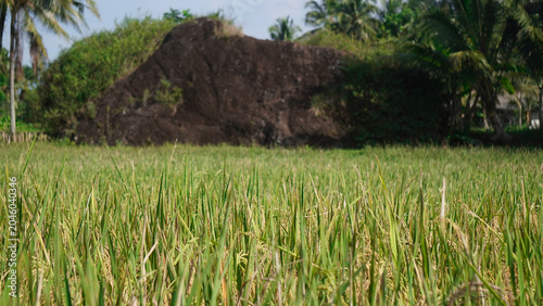 Large Rock Formation in Field.