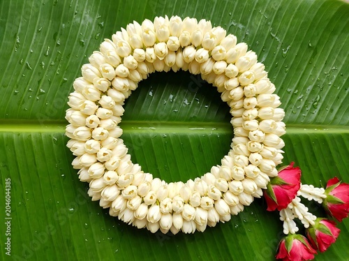 Traditional thai jasmine flower garland on a fresh green banana leaf background
