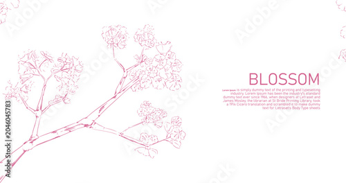 Blossom Hand drawn vector background and Text for Poster Template