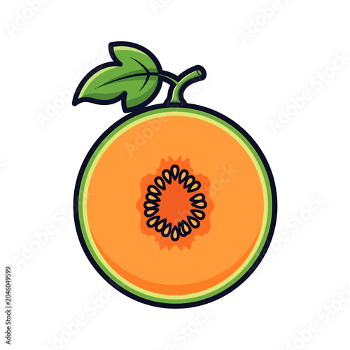 Vibrant illustration of a freshly cut sweet cantaloupe melon with seeds and a leaf, perfect for healthy food concepts