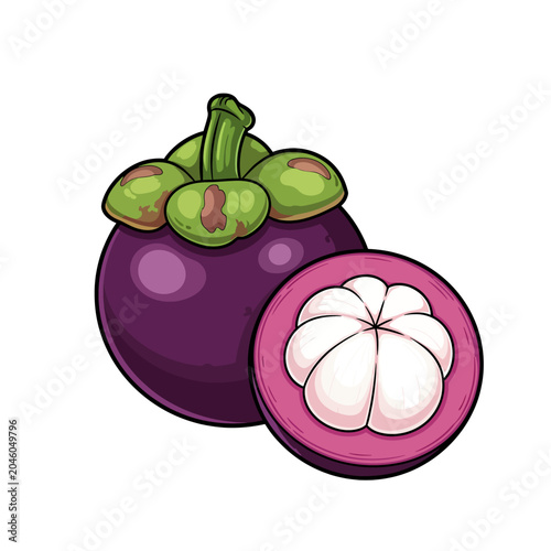 Vibrant illustration of a whole purple mangosteen and a cross-section revealing its white, juicy segments, perfect for culinary and health content