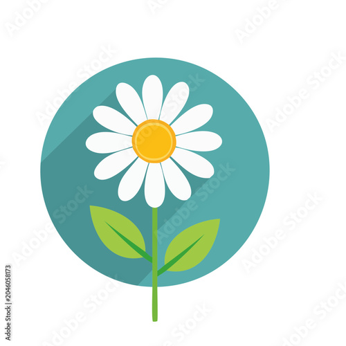 Flat design daisy flower icon with long shadow