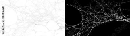 Konstfotografi Mysterious spider web net in abandoned forest with dark evening light, tangled s