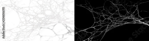 Fototapeta na wymiar Mysterious spider web net in abandoned forest with dark evening light, tangled sticky structure, dusty horror texture and creepy wildlife predator atmosphere