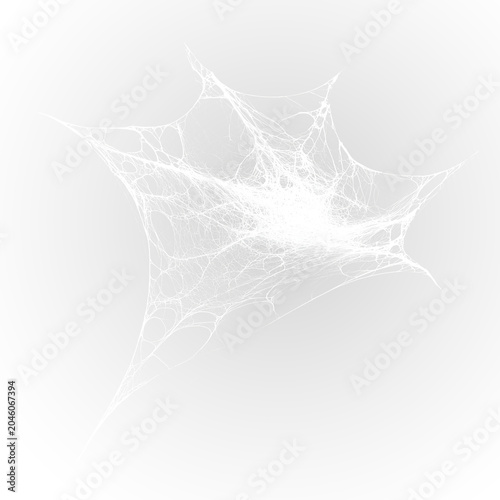 Dark forest spider web trap with horror atmosphere