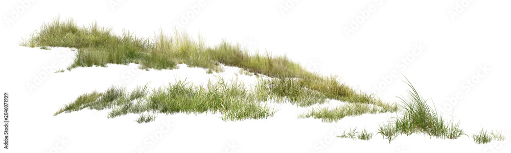 Obraz premium grass/High-resolution isolated green grass tufts on a pure white background. Sharp and detailed cutout field grass element perfectly suited for architectural rendering, landscape design, and photo man