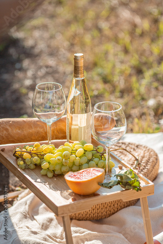 still life wine glass, bottle of wine, grapes are on a picnic table outside on a sunny day