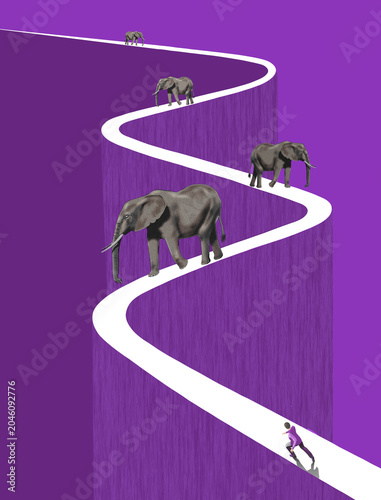 That's life. The path ahead looks impossible to navigate yet we must press on. Elephants, a narrow path and deep drop offs lie ahead for this man.