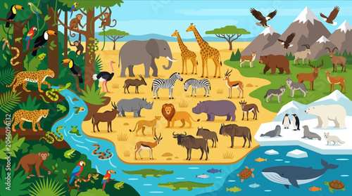 Fotografi Variety of Wild Animals in Habitat.