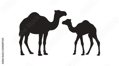 Konstfotografi Two camels in profile black silhouette against a white background silhouette cam