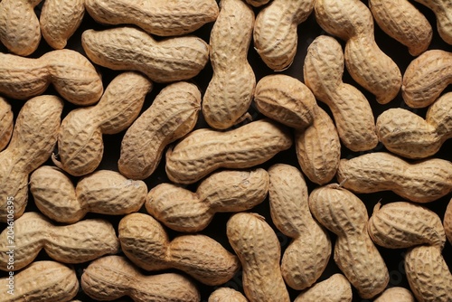 Peanuts with shells close up studio shot over
