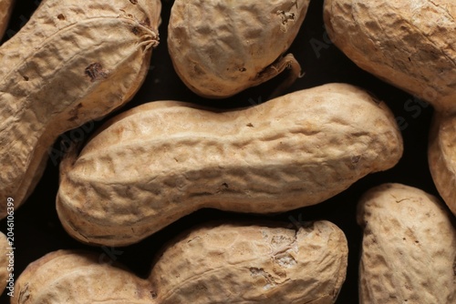 Peanuts with shells close up studio shot over