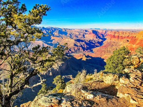 Grand Canyon panorama with sunlit cliffs and pine trees, Arizona, USA - January 2012