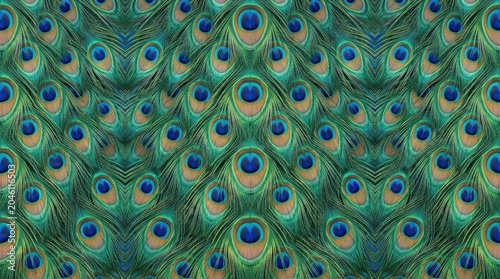 A seamless pattern is created using numerous close-up images of vibrant peacock feathers. The feathers display a rich, iridescent blue-green color with hints of gold and orange.