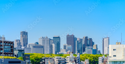 Bild auf Leinwand Panoramic view of Shinjuku skyline in Tokyo, Japan