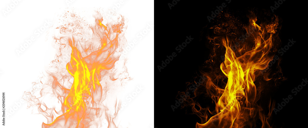 Fototapeta premium Realistic fire flames on black and white background, glowing orange heat blaze, burning campfire element for compositing and design